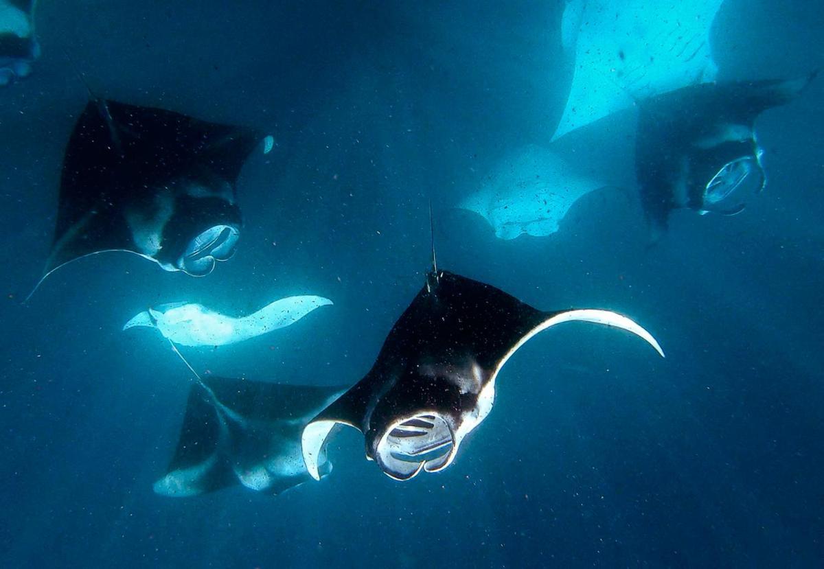 Manta Reserve Maalhos  المظهر الخارجي الصورة